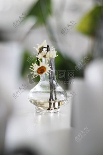 花瓶中的花朵