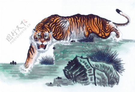 虎十二生肖中国画0012