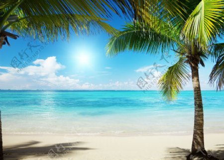 加勒比海沙滩美景