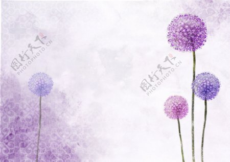 现代浪漫紫色蒲公英花纹背景墙