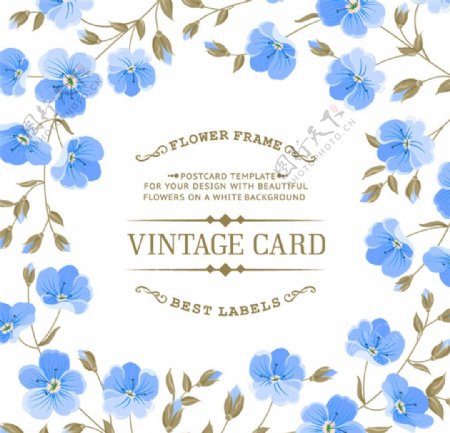 蓝色花卉装饰卡片设计矢量素材