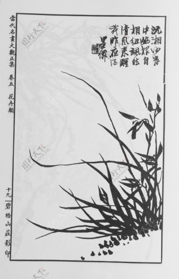 花卉画中国画当代名画大观正集30