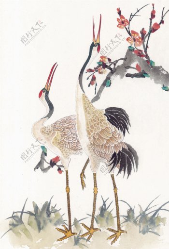 花鸟中国画13