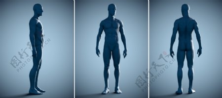 塑料男人人体模型图片