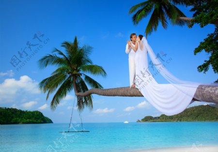 创意海边婚纱照图片