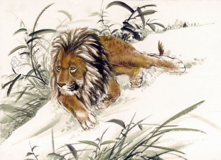 狮子写意动物画国画0010