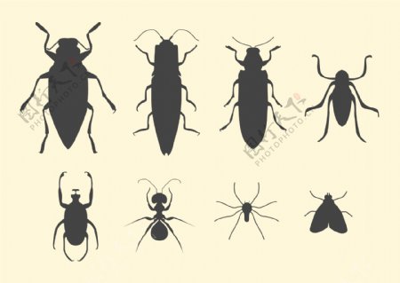 昆虫设计图