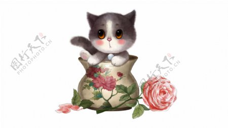 花瓶猫