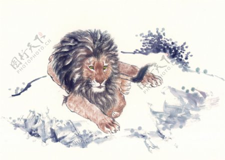狮子中国画