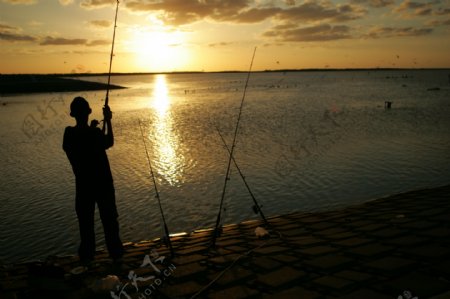 钓鱼13图片