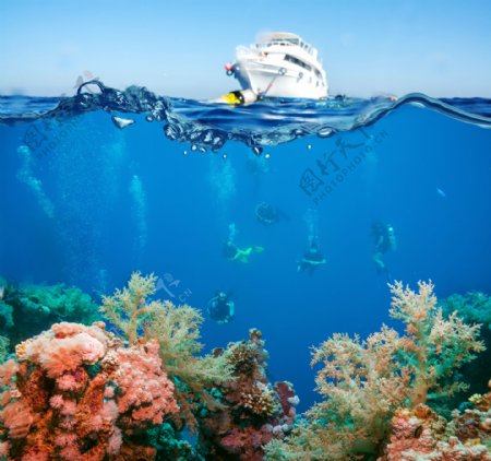 美丽的海底世界景色高清图片