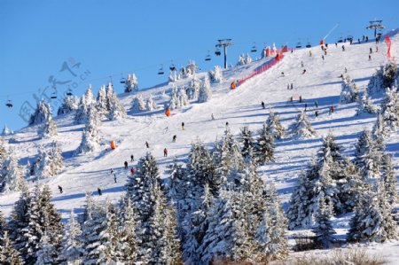 滑雪公园风景
