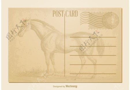 老式的马的明信片