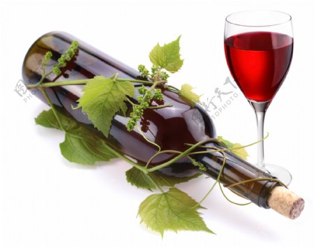 葡萄叶和葡萄酒图片