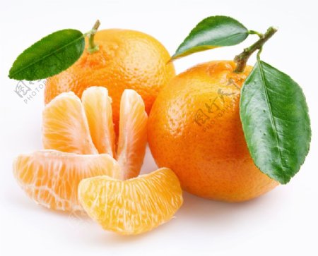 两个桔子和橘子瓣特写图片