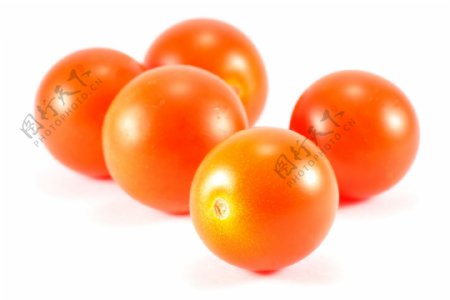 五个西红柿图片