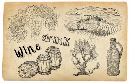 酒桶葡萄树木葡萄园线稿图案