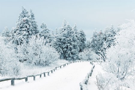 冬天道路风景
