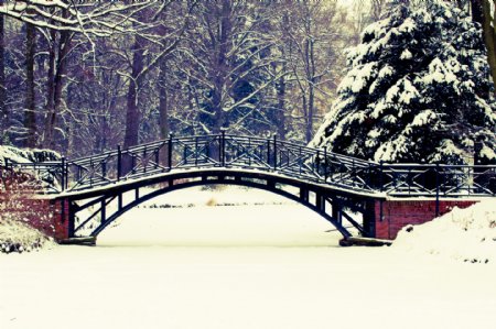 冬天树林拱桥风景