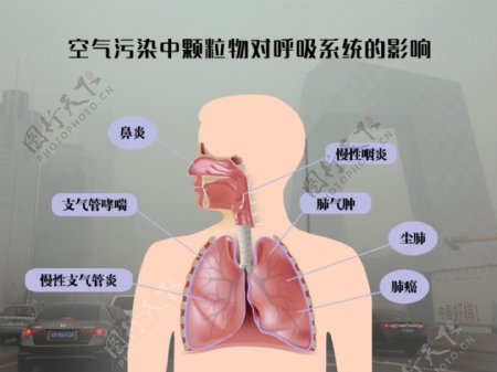 空气污染中颗粒物对呼吸系统影响