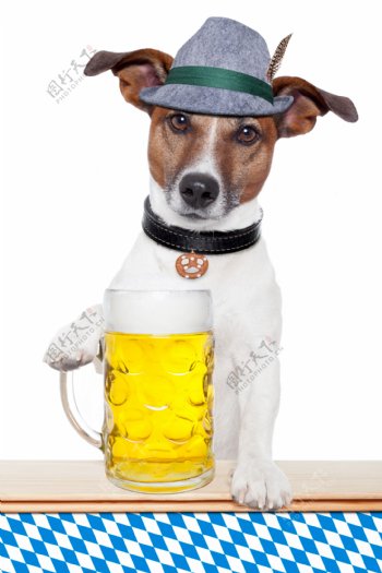 啤酒与狗