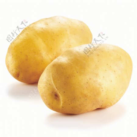 长土豆图片