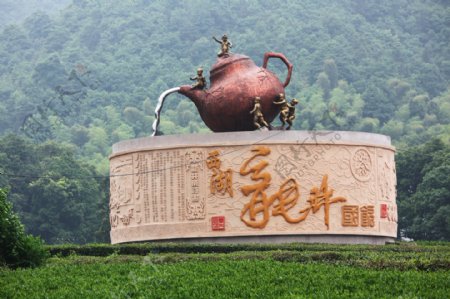 杭州龙井茶叶基地摄影图片