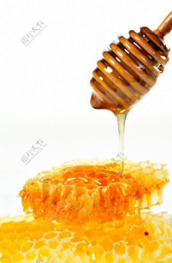 蜂蜜系列图图片