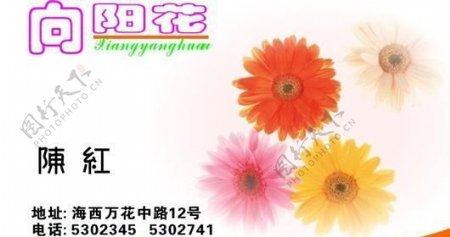 园艺花卉名片模板CDR0012