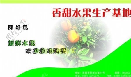 果品蔬菜名片模板CDR0008