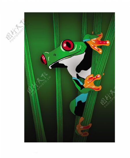 绿色的丛林中的青蛙背景图案
