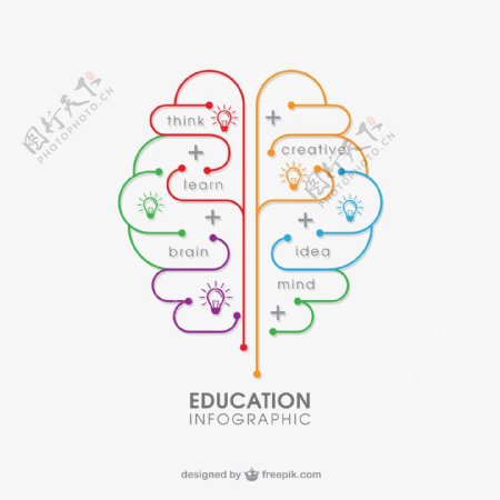 大脑教育信息图