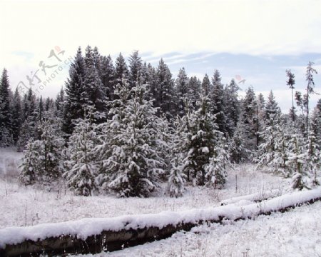 冰雪世界自然风景贴图素材JPG0295