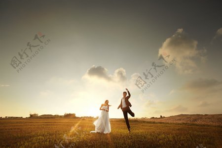 田园里的情侣婚纱摄影图片