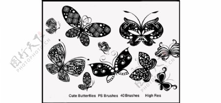 创意的蝴蝶花纹装饰笔刷