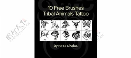 10款创意的纹身图案笔刷