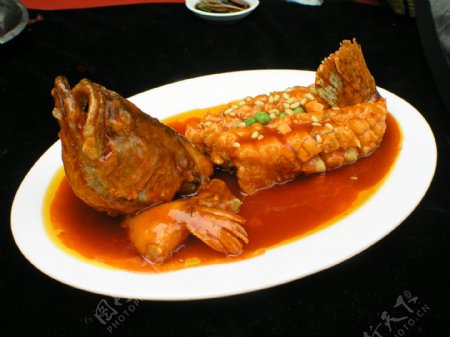 松鼠桂鱼图片