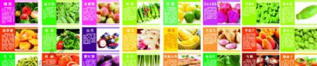 蔬果营养介绍