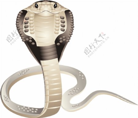 蛇2