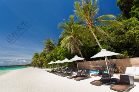 海边沙滩上的躺椅和遮阳伞