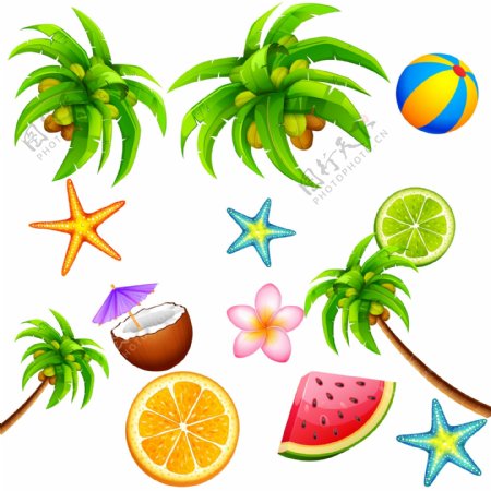 夏季水果西瓜海星椰子元素