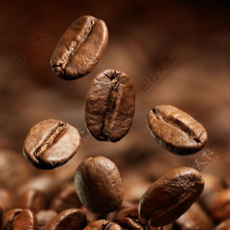 咖啡豆摄影