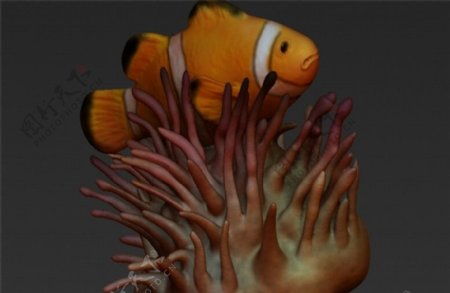 小丑鱼与海葵3D打印模型