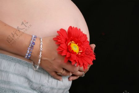孕妇肚子摄影图片