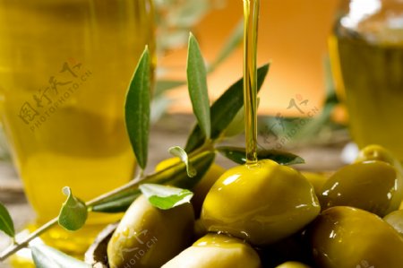 橄榄油与橄榄图片
