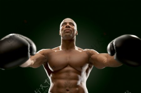 拳击手摄影素材图片