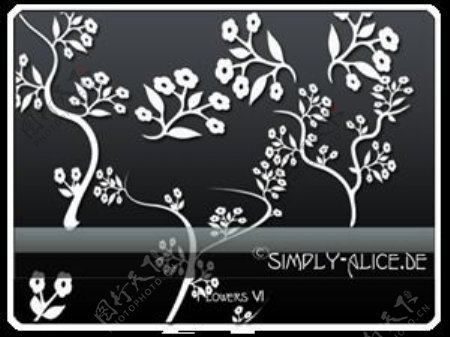 漂亮的植物花纹照片美图背景边框饰品PS笔刷.8