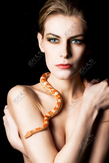 性感美女与毒蛇图片
