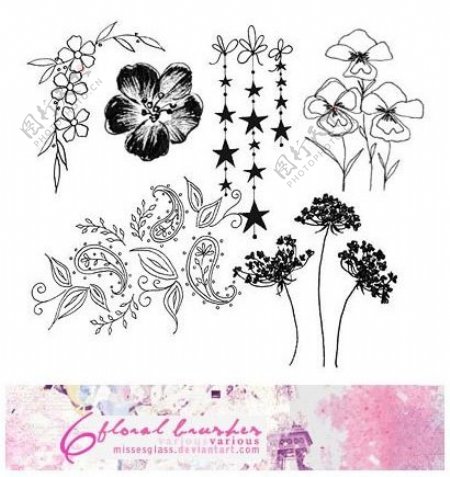 漂亮的植物花纹照片美图背景边框饰品PS笔刷.79