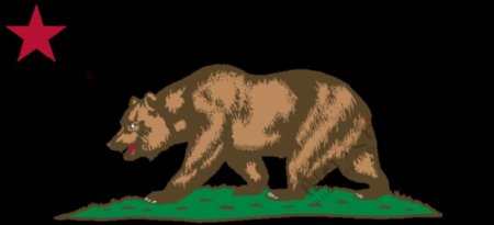 加利福尼亚熊旗情节和明星